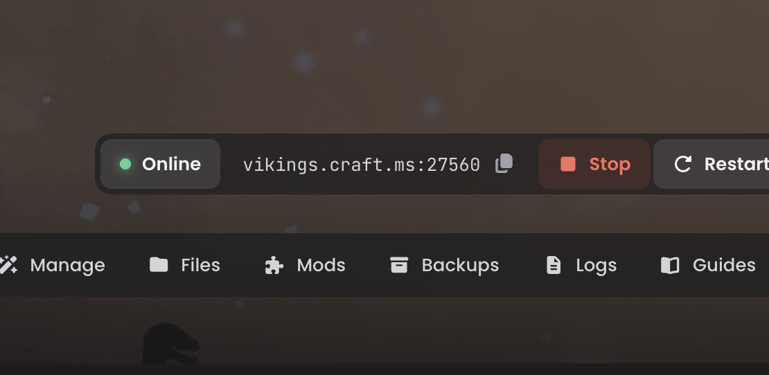 Server address in the LOW.MS panel