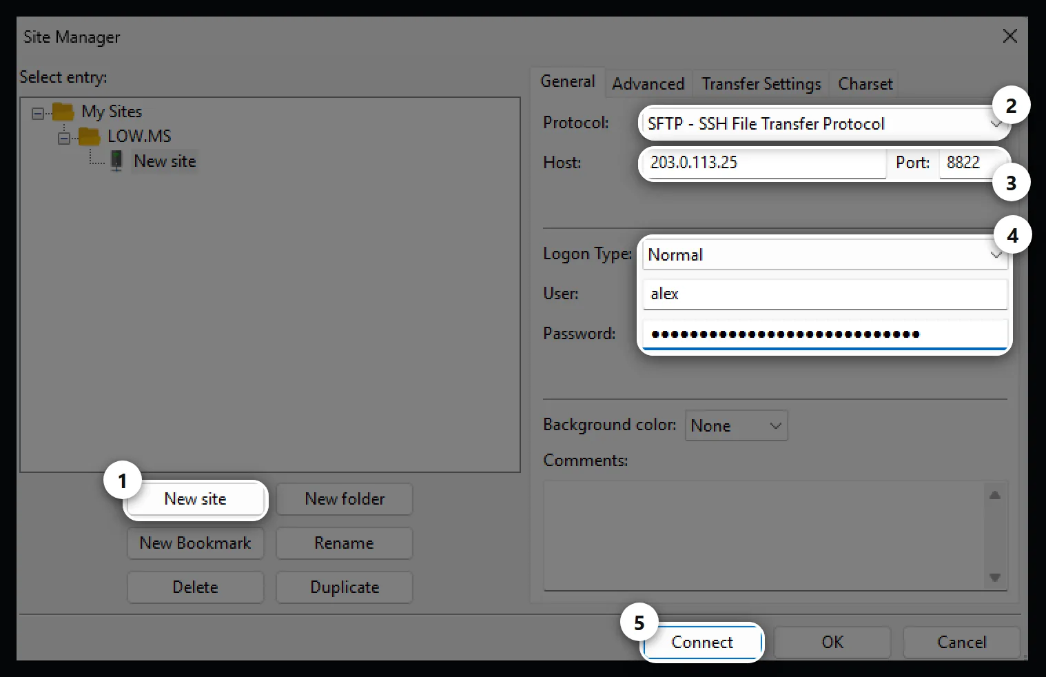 FileZilla Site Manager with SFTP selected, host 203.0.113.25, port 8822 and a username and password filled in