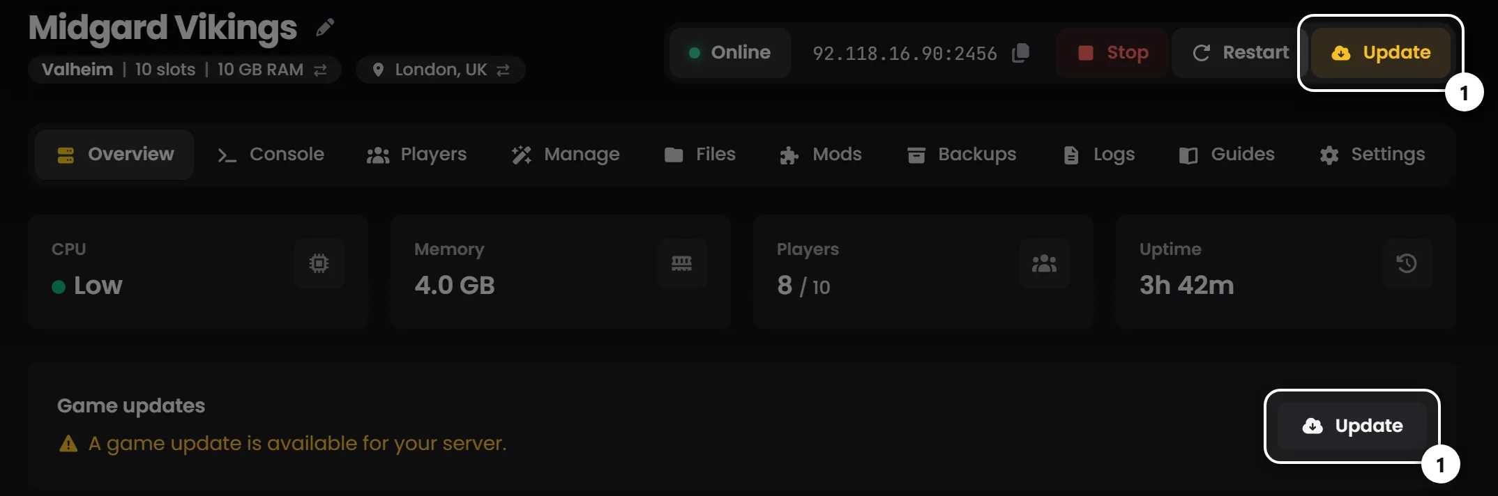 The Overview tab of the LOW.MS control panel with a game update waiting, the two Update buttons ringed