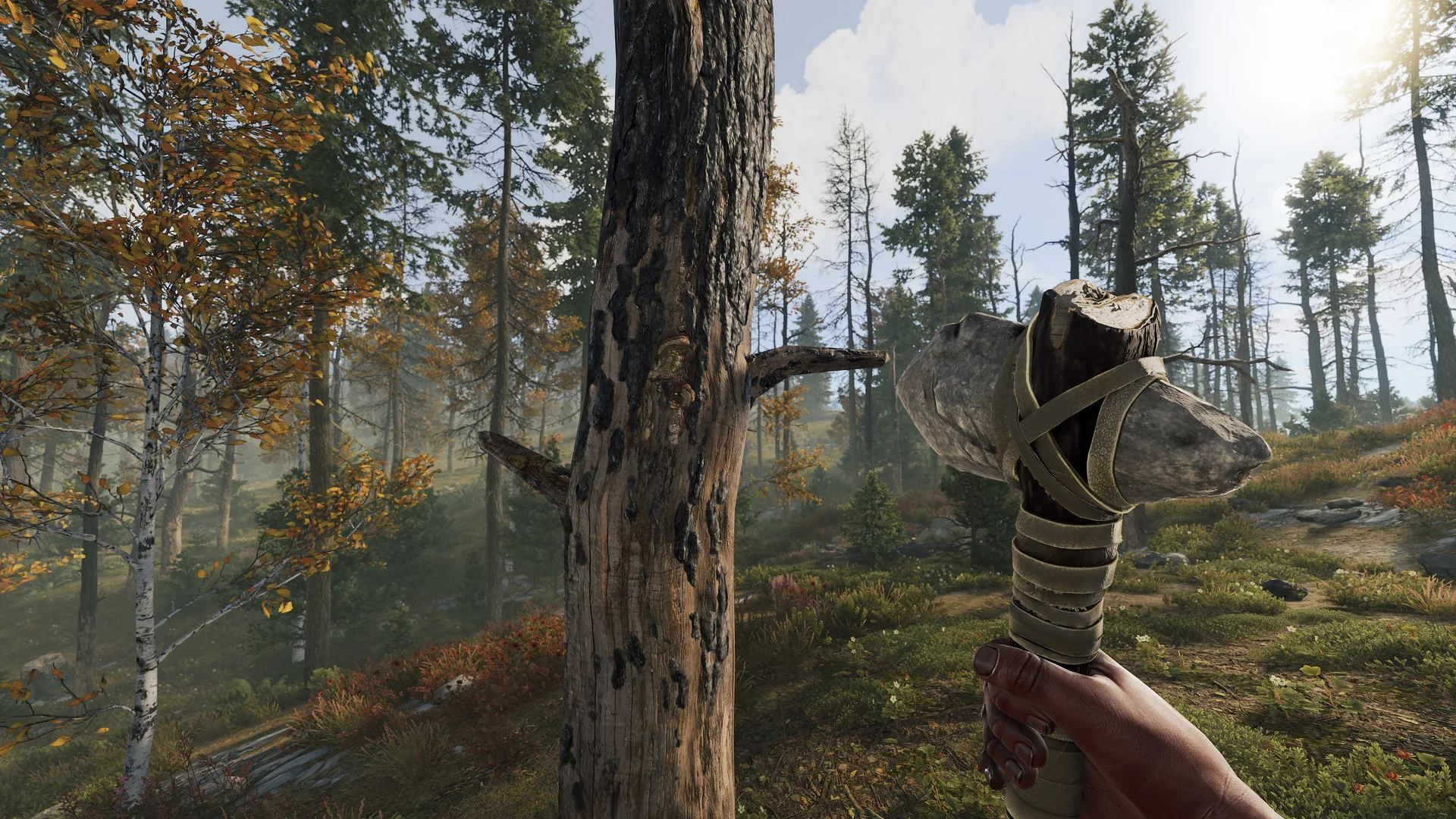 A player on a fresh Rust map at dusk, holding a torch in a pine forest